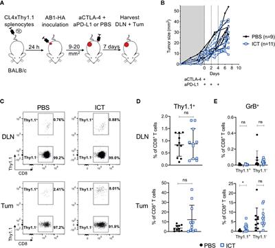 Tumor Infiltrating Effector Memory Antigen-Specific CD8+ T Cells Predict Response to Immune Checkpoint Therapy